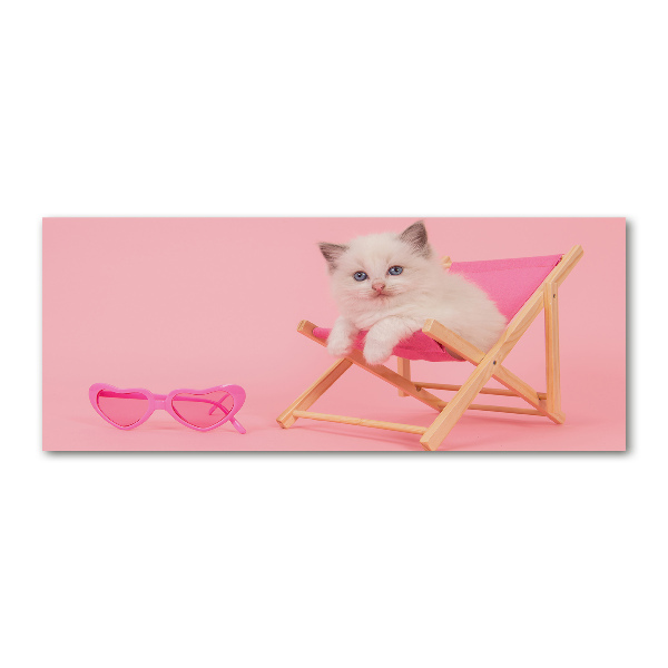 Quadro vetro acrilico Gatto su una sdraio