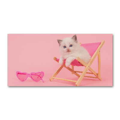 Quadro vetro acrilico Gatto su una sdraio