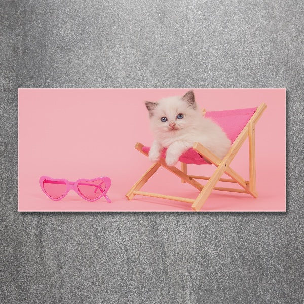 Quadro vetro acrilico Gatto su una sdraio