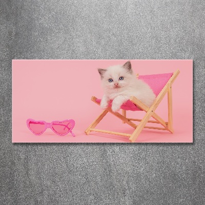 Quadro vetro acrilico Gatto su una sdraio