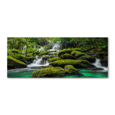 Quadro in vetro acrilico Cascata nella foresta