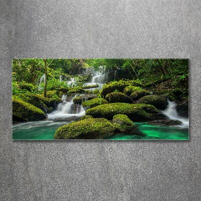 Quadro in vetro acrilico Cascata nella foresta