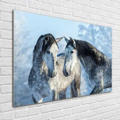 Quadro su vetro acrilico Cavalli grigi in inverno