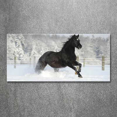 Quadro vetro acrilico Un cavallo al galoppo nella neve