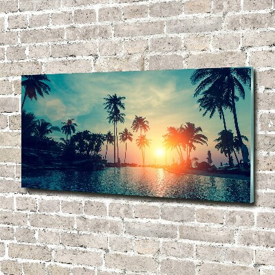 Quadro su vetro acrilico Tramonto di Palme