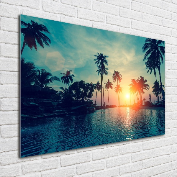 Quadro su vetro acrilico Tramonto di Palme