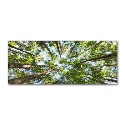 Quadro vetro acrilico Chioma dell'albero