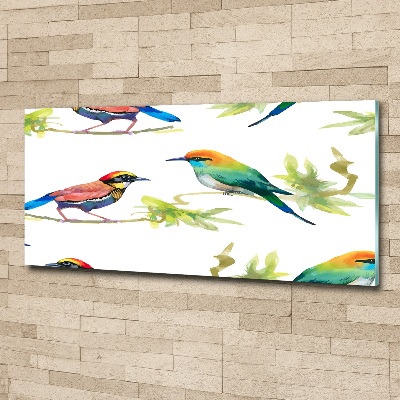 Quadro vetro acrilico Uccelli esotici