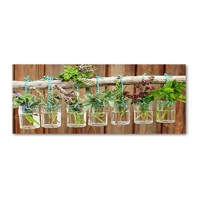 Quadro vetro acrilico Erbe aromatiche in barattolo