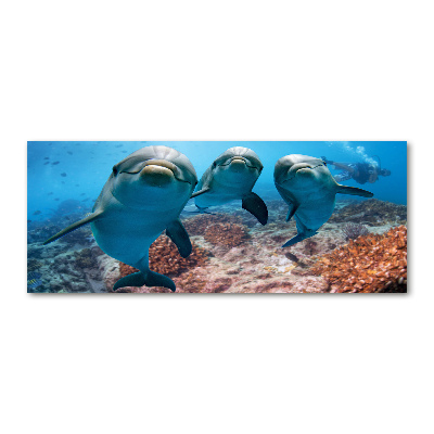 Quadro in vetro acrilico Delfini