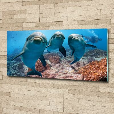 Quadro in vetro acrilico Delfini