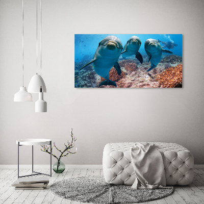 Quadro in vetro acrilico Delfini