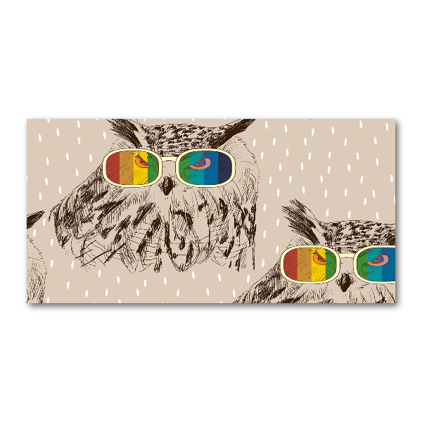 Quadro su vetro acrilico Gufi con gli occhiali