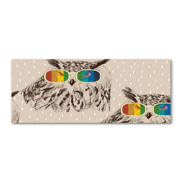 Quadro su vetro acrilico Gufi con gli occhiali