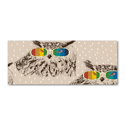 Quadro su vetro acrilico Gufi con gli occhiali