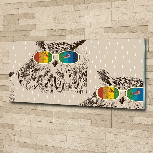 Quadro su vetro acrilico Gufi con gli occhiali