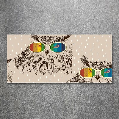 Quadro su vetro acrilico Gufi con gli occhiali