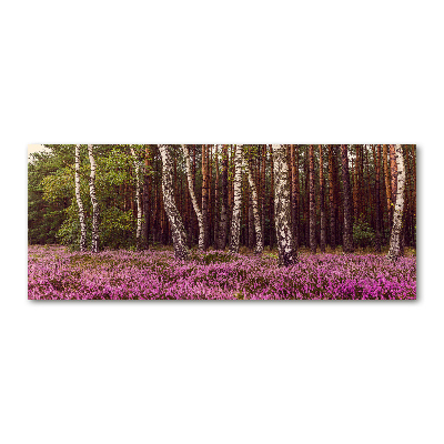 Quadro vetro acrilico Ormeggiare