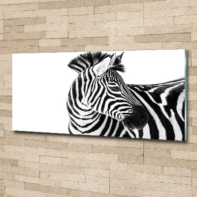 Quadro vetro acrilico Zebra nella neve