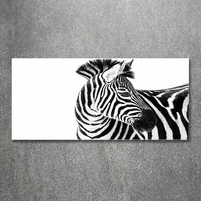 Quadro vetro acrilico Zebra nella neve