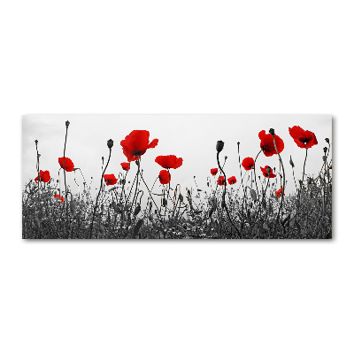 Quadro in vetro acrilico Papaveri