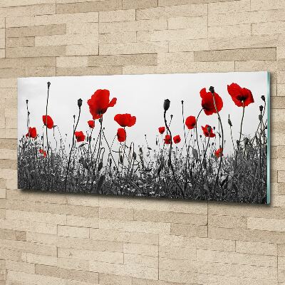 Quadro in vetro acrilico Papaveri