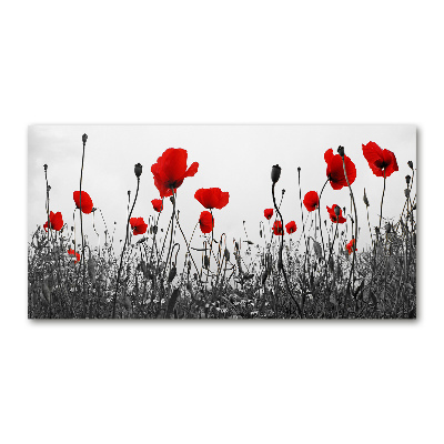 Quadro in vetro acrilico Papaveri