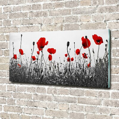 Quadro in vetro acrilico Papaveri
