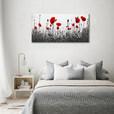 Quadro in vetro acrilico Papaveri