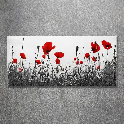 Quadro in vetro acrilico Papaveri