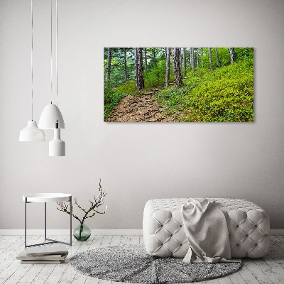 Quadro su vetro acrilico Sentiero nel bosco