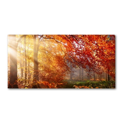 Quadro vetro acrilico Foresta autunnale