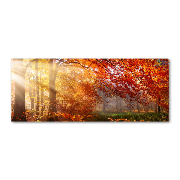 Quadro vetro acrilico Foresta autunnale