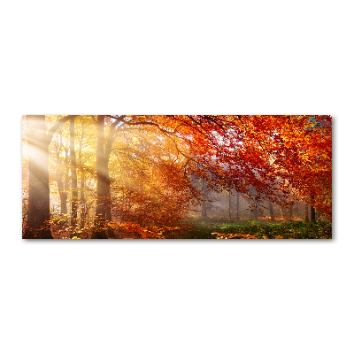 Quadro vetro acrilico Foresta autunnale