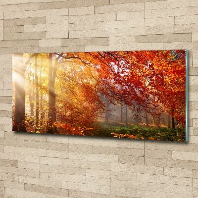 Quadro vetro acrilico Foresta autunnale