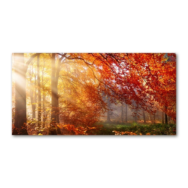 Quadro vetro acrilico Foresta autunnale