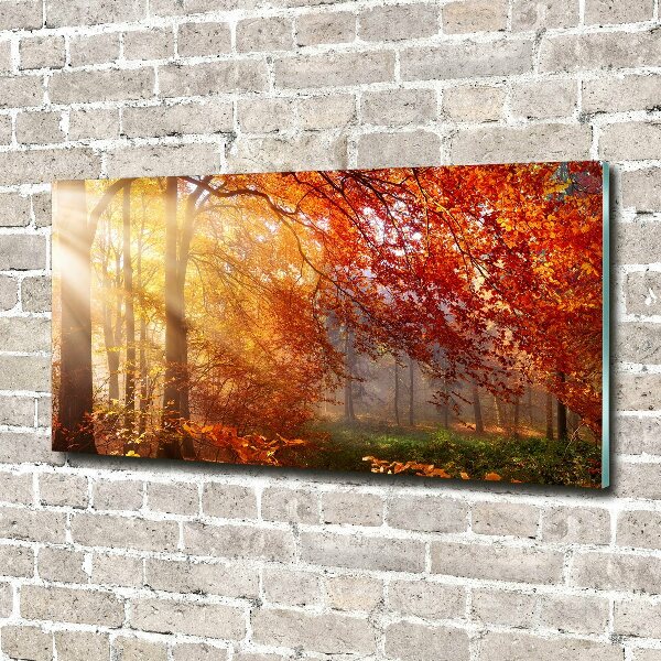 Quadro vetro acrilico Foresta autunnale