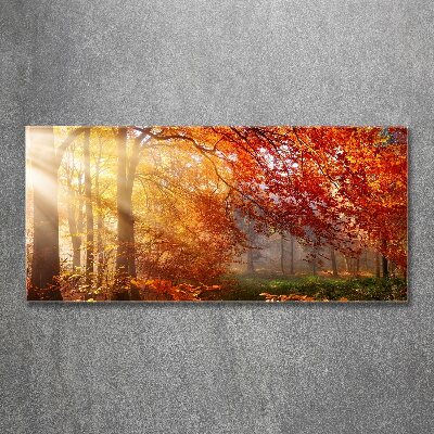 Quadro vetro acrilico Foresta autunnale