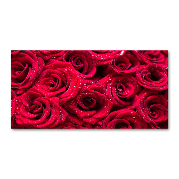 Quadro vetro acrilico Gocce sulle rose