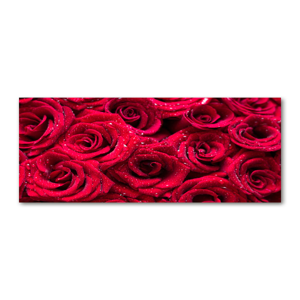 Quadro vetro acrilico Gocce sulle rose