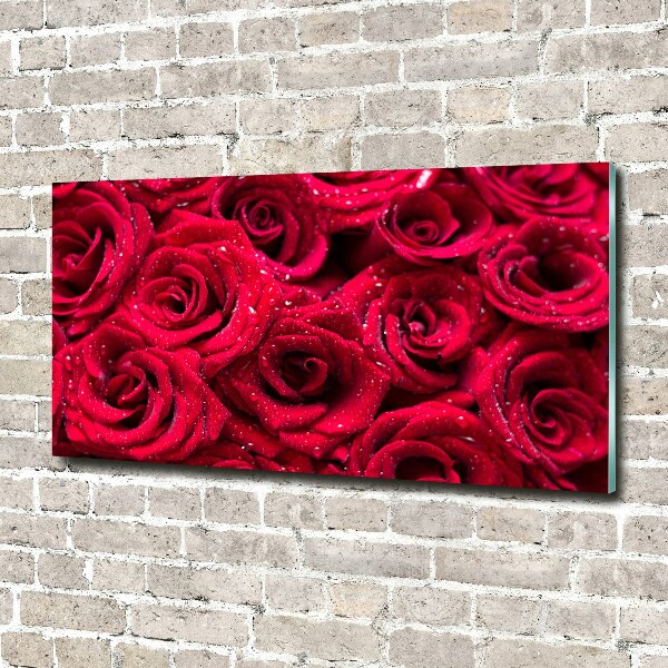 Quadro vetro acrilico Gocce sulle rose