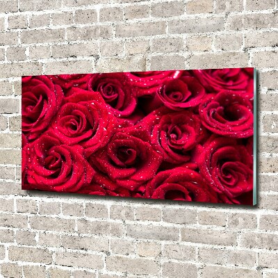 Quadro vetro acrilico Gocce sulle rose