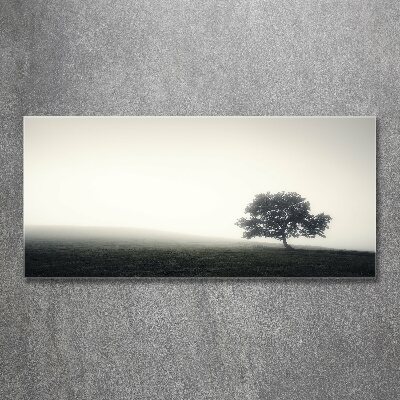 Quadro vetro acrilico Albero solitario