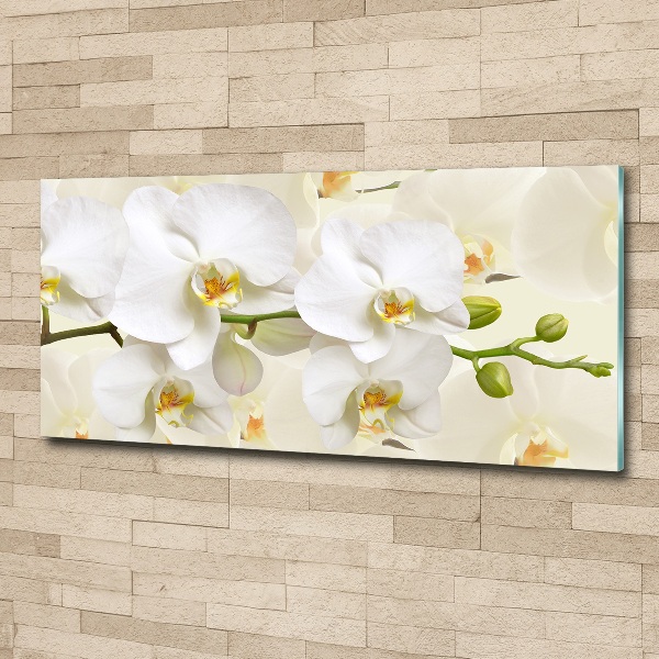 Quadro in vetro acrilico Orchidea