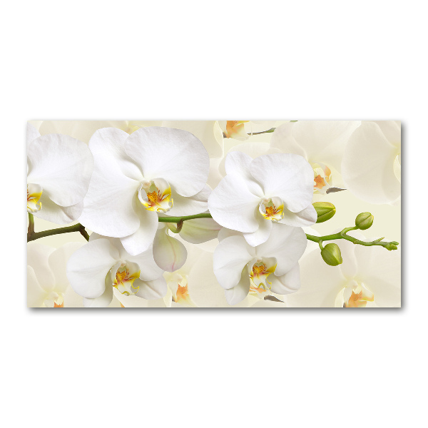 Quadro in vetro acrilico Orchidea
