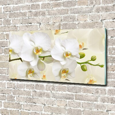Quadro in vetro acrilico Orchidea