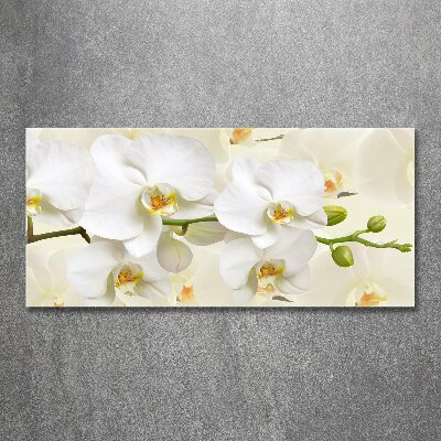 Quadro in vetro acrilico Orchidea