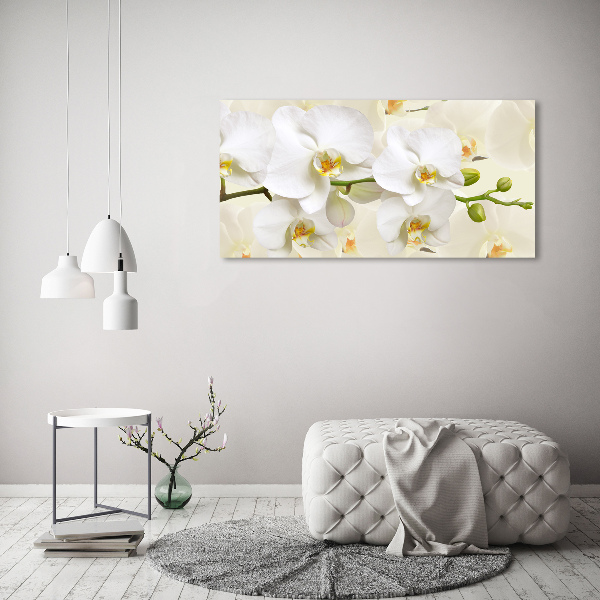 Quadro in vetro acrilico Orchidea