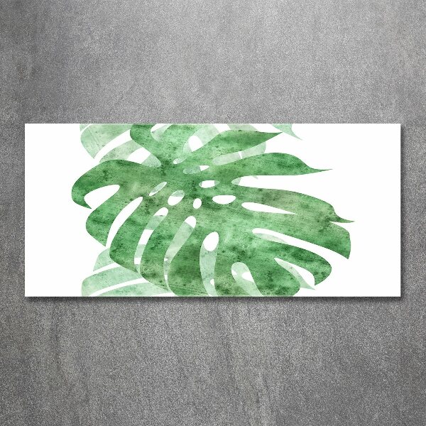 Quadro su vetro acrilico Monstera