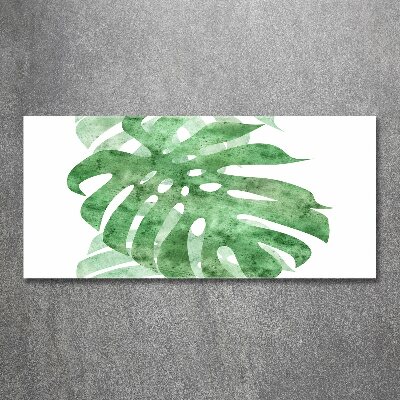Quadro su vetro acrilico Monstera